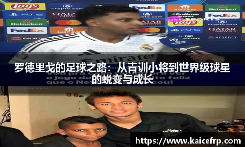 南宫NG28