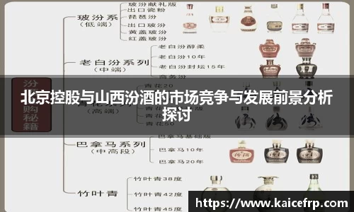 北京控股与山西汾酒的市场竞争与发展前景分析探讨